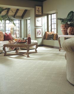 Carpet Flooring in Fort Worth, TX